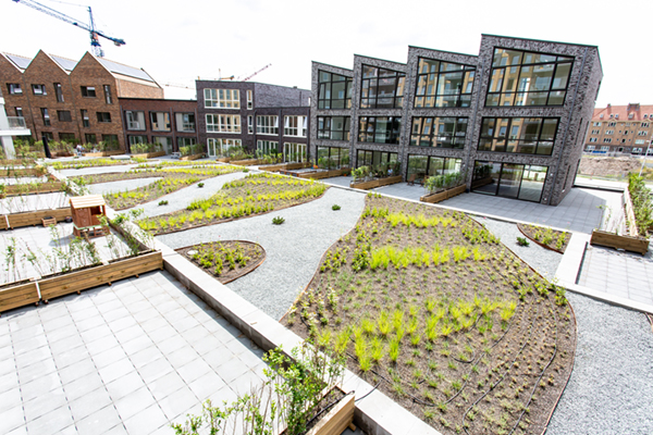 Ecodak met gebruikersdak en waterretentie op parkeergarage appartementencomplex Amsterdam